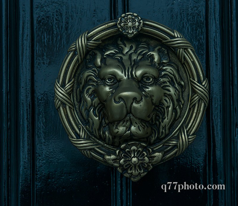 beautiful brass knocker in the shape of a lion's head on a backg