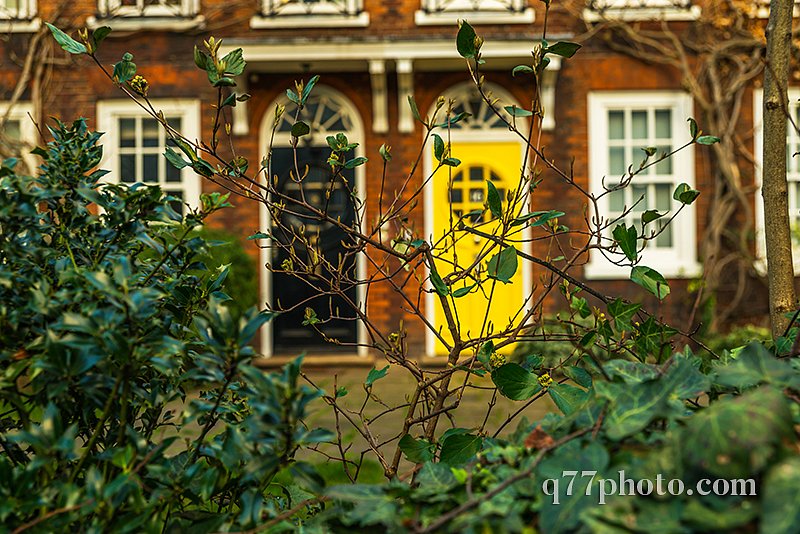 Beautiful green vegetation in the background brick facade of a t