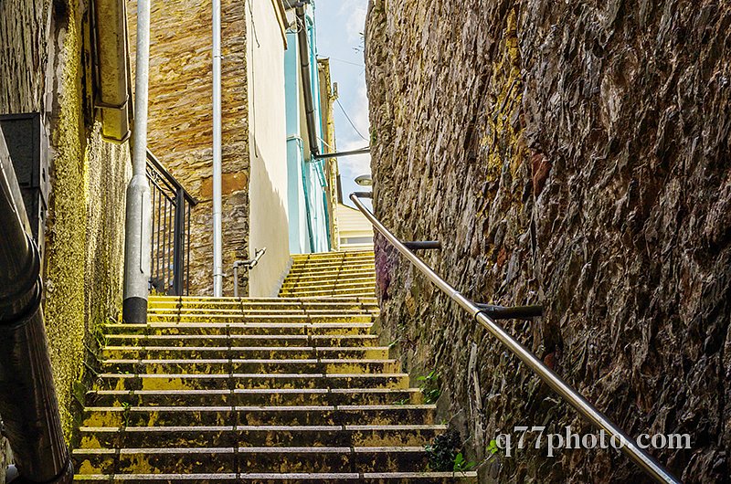 Entrance stone stairs up, right balustrade, left green plants