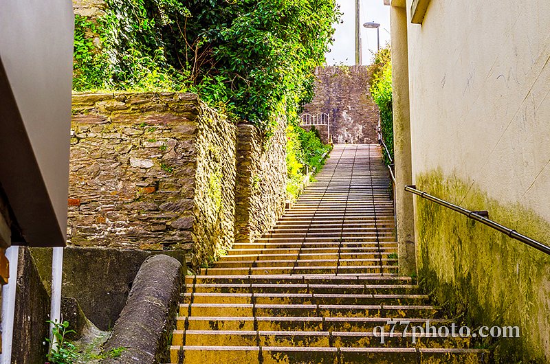 Entrance stone stairs up, right balustrade, left green plants